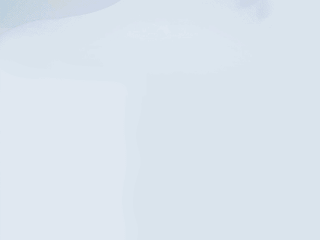 spot_img