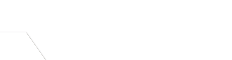 spot_img