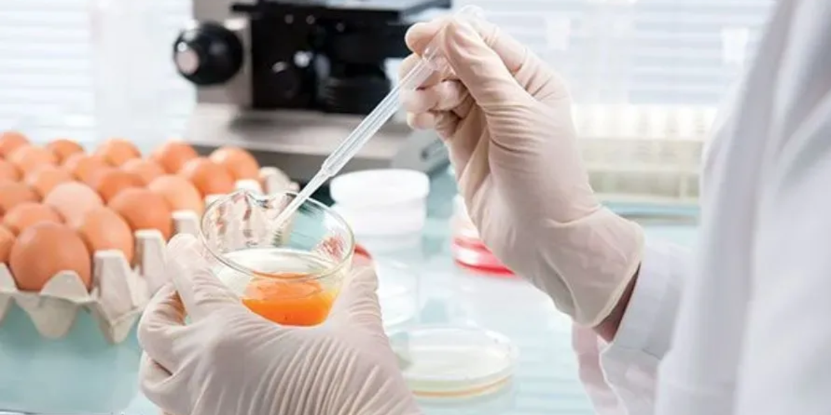From Culinary Pariah to Protein Powerhouse