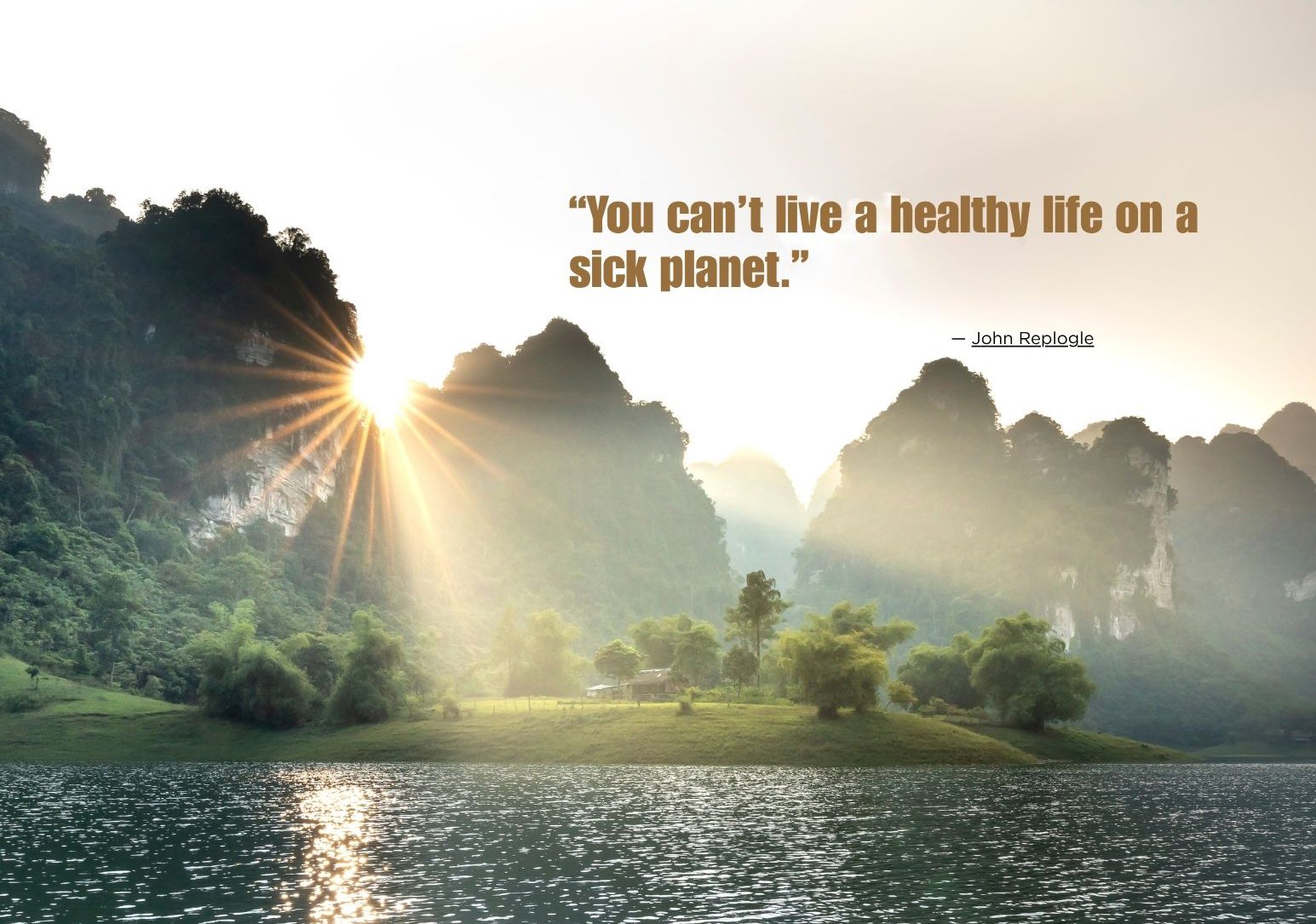 You can’t live a healthy life on a sick planet.