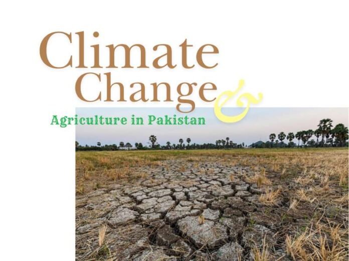 The Climate Change & Agriculture in Pakistan