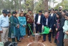 Islamabad Weekly Tree Drives Begin After March 31