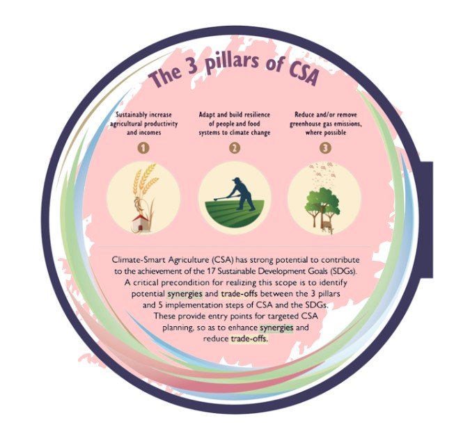 The Three Pilars of CSA